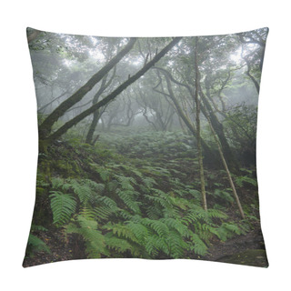 Personality  Beautiful Forest On A Rainy Day. Hiking Trail. Anaga Village Park - Ancient Forest In Tenerife, Canary Islands. Pillow Covers