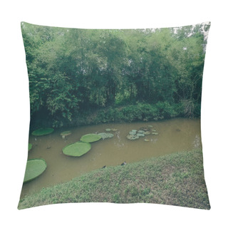 Personality  Lush Green Natural Landscape At A Nature Reserve In Phuket Thailand Pillow Covers
