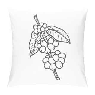 Personality  Coffee Branch, Plant With Leaf, Berry, Fruit And Seed. Natural Caffeine Drink. Vector Vintage Drawn Engraving Illustration On White Background For Shop And Cafe Pillow Covers