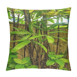Personality  An Abundance Of Vibrant Green Plants Thriving In A Tranquil Garden, Creating A Harmonious Oasis Of Natural Beauty Pillow Covers