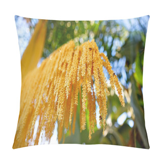 Personality  Phoenix Roebelenii (Pygmy Date Palm) Yellow Bunch Of Flowers Selective Focus. Pillow Covers