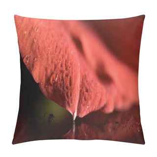 Personality  Macro View Of Wet Amaryllis Flower Petal Background Pillow Covers