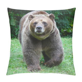 Personality  Grizzly On The Move Pillow Covers