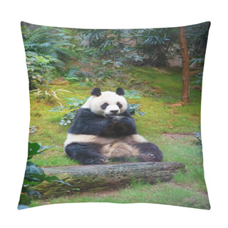 Personality  Giant Panda Bear Eating Bamboo Leafs Pillow Covers