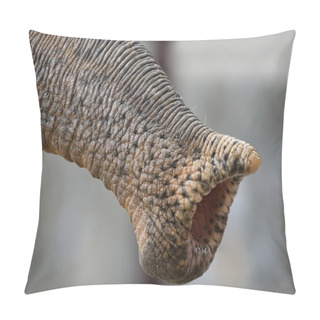 Personality  Proboscis Of An Elephant Pillow Covers
