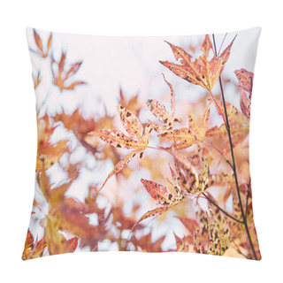 Personality  Selective Focus Of Autumnal Orange Foliage On Tree Branches In Park Pillow Covers