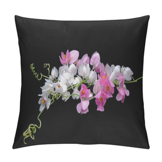 Personality  Mexican Creeper, Pink And White Mexican Creeper (Antigonon Leptopus) Isolated On Black Background Pillow Covers