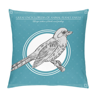 Personality  Great Encyclopedia Of Animal Planet Earth, Vintage Birds Illustration Pillow Covers
