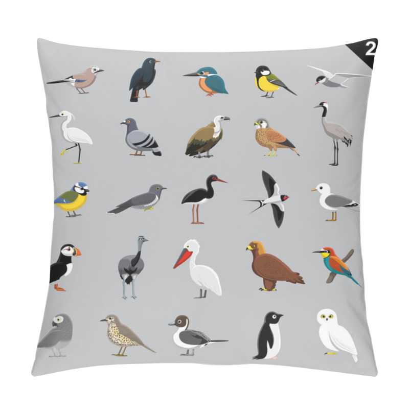 Personality  Various Birds Cartoon Vector Illustration 2 pillow covers