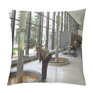 Personality  Czechia. In Gallery Of Mineral Sources In Karlovy Vary Pillow Covers