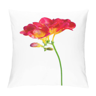 Personality  Branch Of Red And Yellow Freesia Pillow Covers