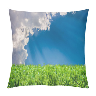 Personality  Spring Summer Lawncare Pillow Covers