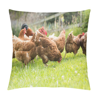 Personality  Chickens On A Lawn Pillow Covers