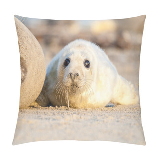 Personality  Grey Seal Pillow Covers