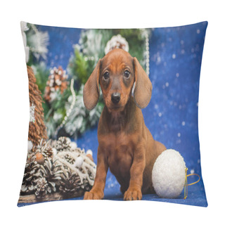 Personality  Dachshund Puppy Photo Session In The New Year's Location Pillow Covers