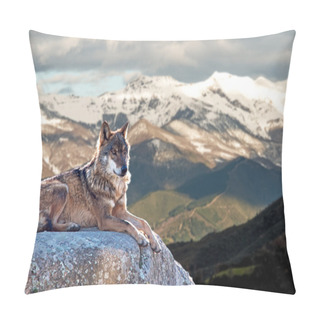 Personality  Iberian Wolf Lying On Rocks On A Snowy Mountain Pillow Covers