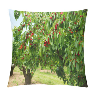 Personality  Ripe Cherries On A Tree Pillow Covers