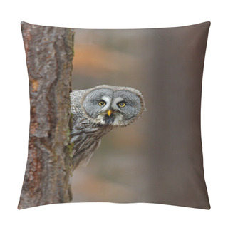 Personality  Portrait Of Great Grey Owl Pillow Covers