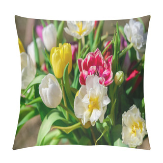 Personality  Sunlit Tulips Sway In The Breeze, Their Petals Aglow With The Brilliance Of A Summer's Day. Pillow Covers