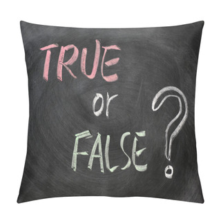 Personality  True Or False Question Pillow Covers