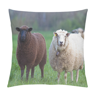 Personality  Black And White Sheep Pillow Covers