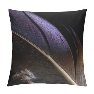 Personality  Close Up Of Lightweight Purple And Brown Soft Textured Feather Isolated On Black Pillow Covers