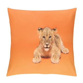 Personality  Cute Lion Cub Lying On Orange Background Pillow Covers