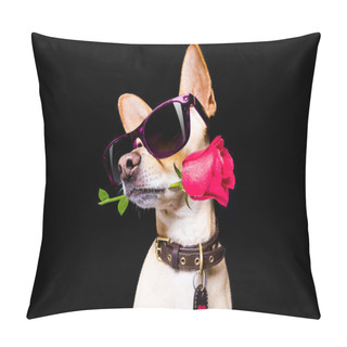 Personality  Valentines Love  Dog Pillow Covers