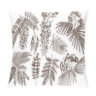 Personality  Hand Drawn Bloomed Fabaceae Plants Pillow Covers