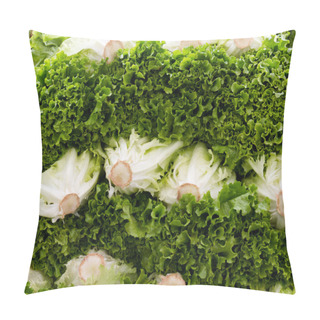 Personality  Green Leaf Lettuce On Display Pillow Covers