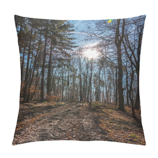 Personality  Woodland Path In The Middle Of The Forest And The Sun Pillow Covers