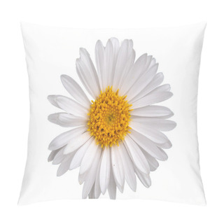 Personality  Daisy Isolated On White Background Pillow Covers