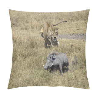 Personality  Lioness Chasing Warthog Pillow Covers
