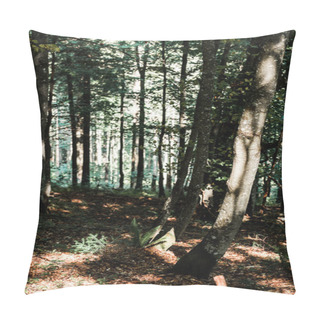 Personality  Sunshine On Trees With Green And Fresh Leaves In Woods  Pillow Covers