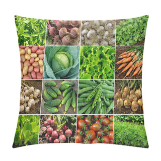 Personality  Vegetables And Greens Pillow Covers
