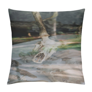 Personality  Deer Skull Looking At Viewer On A Glass Table Pillow Covers