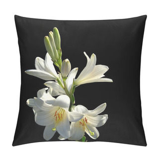 Personality  White Lilies On Black Background Pillow Covers