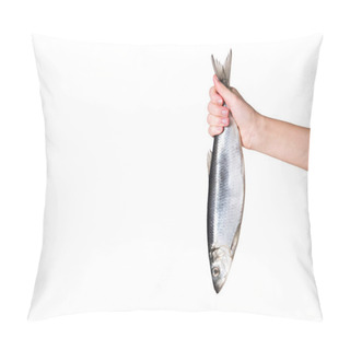 Personality  Fish Pillow Covers