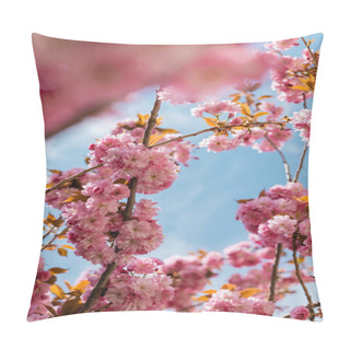 Personality  Bottom View Of Blooming And Pink Cherry Tree With Blurred Foreground  Pillow Covers