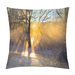 Personality  Sunbeams Filtered Through Bare Tree Pillow Covers