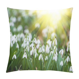 Personality  White Snowdrop Flowers In Spring, Selective Focus Pillow Covers