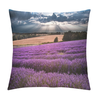 Personality  Beautiful Lavender Field Landscape With Dramatic Sky Pillow Covers