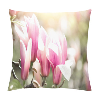 Personality  Blooming Magnolia Tree In The Spring Sun Rays. Selective Focus. Copy Space. Easter, Blossom Spring, Sunny Woman Day Concept. Pink Purple Magnolia Flowers. Pillow Covers