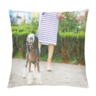 Personality  Woman Walking Her Dog  Pillow Covers