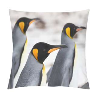 Personality  Three King Penguins Walking On The Beach Closeup Pillow Covers
