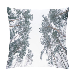 Personality  Bottom View Of Trees Covered With Snow In Forest Pillow Covers