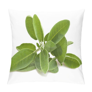 Personality  Sage Leaves Pillow Covers