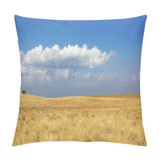 Personality  Rural Field At Alentejo Region, Portugal. Pillow Covers