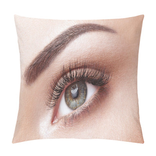 Personality  Female Eye With Extreme Long False Eyelashes. Eyelash Extensions. Makeup, Cosmetics, Beauty. Close Up, Macro Pillow Covers