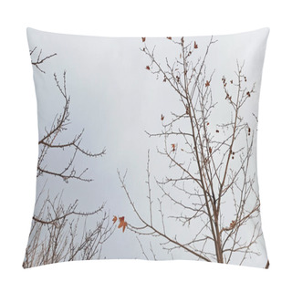Personality  Dried Leaves And Branches Of The Tree With Snowy Winter Background In Cappadocia, Turkey Pillow Covers